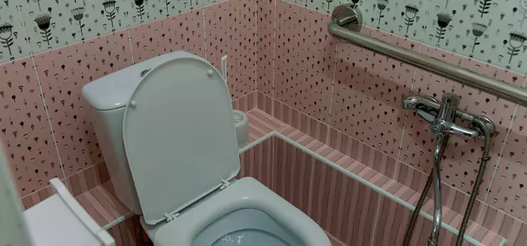 Meeting Diverse Needs With Accessible Restroom Solutions in Melrose Park, IL