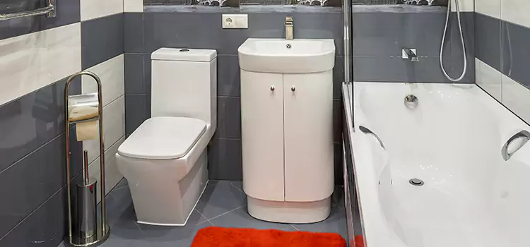 Hansgrohe Shaving Mirror Melrose Park