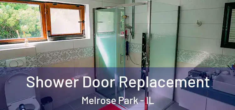 Shower Door Replacement Melrose Park - IL